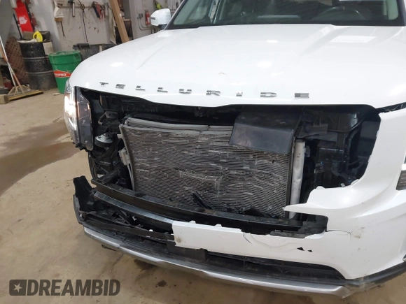 2020 Kia Telluride EX z VIN 5XYP3DHC5LG020089, wystawiony jako IAAI lot #41890001 z przebiegiem 87 396 mil mil oraz . Historia ofert i sprzedaży dostępna na DreamBid. Obrazek 6.