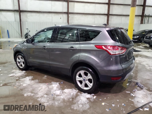 2014 Ford Escape SE with VIN 1FMCU0G99EUA28333, listed as a Copart auction lot 41561195 with 107,679 mi miles and Salvage Title. Bid and sale history available at carsss.com. Image 2.