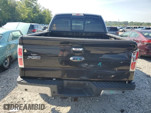 2013 Ford F-150 XL with VIN 1FTFW1ET8DKE61054, listed as a Copart auction lot 64204095 with 124,924 mi miles and Salvage title. Bid and sale history available at DreamBid. Image 6.