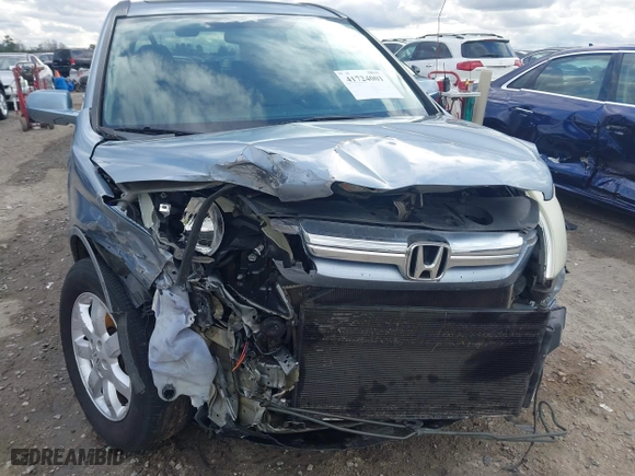 2009 Honda CR-V EX-L with VIN 5J6RE38779L022773, listed as a IAAI auction lot 41724001 with 340,281 mi miles. Bid and sale history available at carsss.com. Image 6.