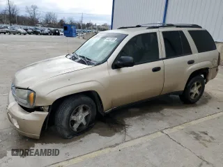 2006 Chevrolet TrailBlazer LS with VIN 1GNDT13SX62115317, listed as a Copart auction lot 44437585 with 228,578 mi miles and Non Repairable. Bid and sale history available at carsss.com. Image 1.