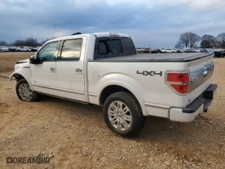 2013 Ford F-150 XL with VIN 1FTFW1ET5DFA53975, listed as a Copart auction lot 42052365 with 210,428 mi miles and Salvage Title. Bid and sale history available at carsss.com. Image 2.
