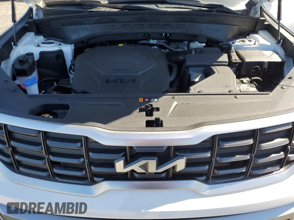 2024 Kia Telluride SX with VIN 5XYP54GC0RG552256, listed as a Copart auction lot 81033874 with Not provided miles and Salvage title. Bid and sale history available at DreamBid. Image 12.