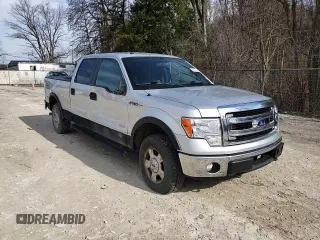 2014 Ford F-150 XL with VIN 1FTFW1ET8EFC10691, listed as a Copart auction lot 49817555 with 241,581 mi miles and Salvage Title. Bid and sale history available at carsss.com. Image 11.