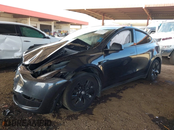 2024 Tesla Model Y with VIN 7SAYGDED9RF053203, listed as a IAAI auction lot 41906729 with Not Provided miles and . Bid and sale history available at DreamBid. Image 2.