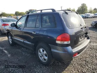 2005 Hyundai Santa Fe GLS with VIN KM8SC73E95U936274, listed as a Copart auction lot 76955984 with 166,437 mi miles and Salvage Title. Bid and sale history available at carsss.com. Image 2.