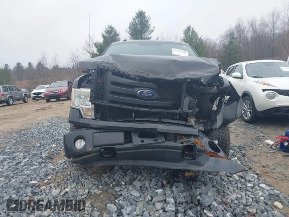 2010 Ford F-150 XL with VIN 1FTFW1EV5AFC01572, listed as a IAAI auction lot 41954598 with 160,935 mi miles. Bid and sale history available at carsss.com. Image 12.