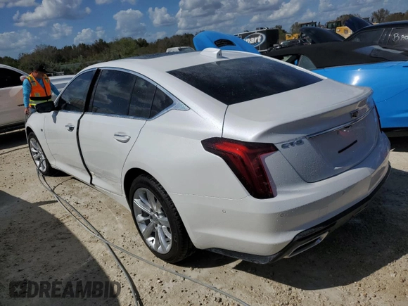2025 Cadillac CT5 Premium Luxury with VIN 1G6DN5RW9S0100675, listed as a Copart auction lot 77497624 with Not provided miles and Salvage title. Bid and sale history available at DreamBid. Image 2.