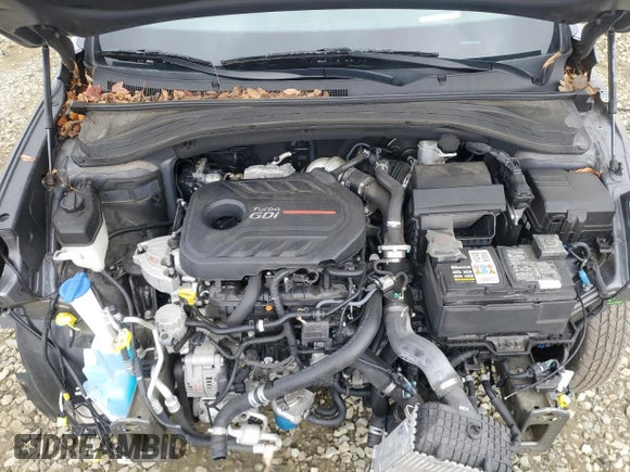 2019 Hyundai Santa Fe Ultimate with VIN 5NMS5CAA1KH126034, listed as a Copart auction lot 50917085 with 44,982 mi miles and Salvage Title. Bid and sale history available at carsss.com. Image 12.