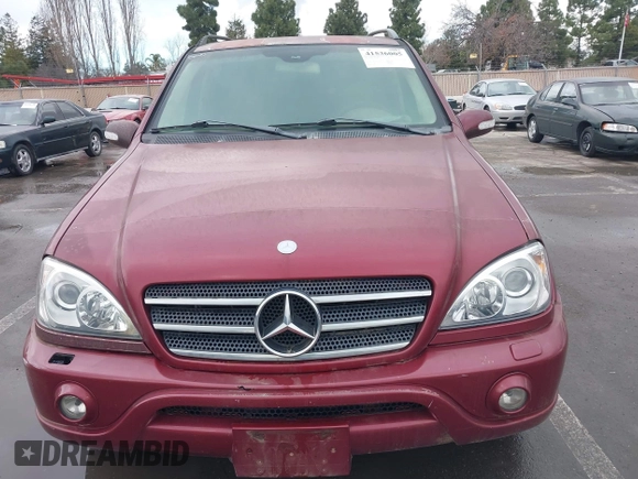 2002 Mercedes-Benz M 320/430/500 with VIN 4JGAB75E02A312579, listed as a IAAI auction lot 41536005 with 255,627 mi miles and . Bid and sale history available at DreamBid. Image 6.