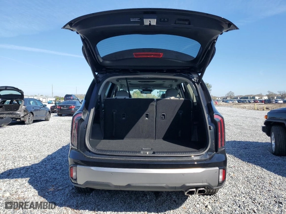 2025 Kia Telluride EX with VIN 5XYP34GC3SG575025, listed as a Copart auction lot 46075005 with NaN miles and Salvage Title. Bid and sale history available at carsss.com. Image 6.