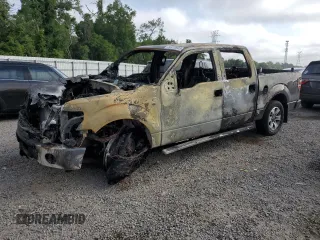 2011 Ford F-150 XL with VIN 1FTEW1CM9BFB52562, listed as a Copart auction lot 55013935 with Not provided miles and Non repairable. Bid and sale history available at DreamBid. Image 1.