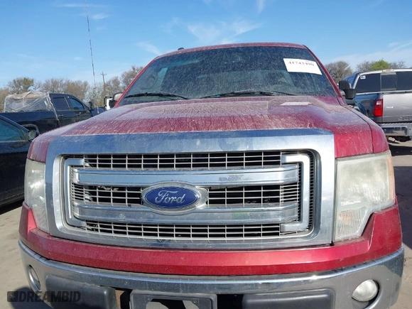 2014 Ford F-150 XL with VIN 1FTEX1CM9EFB16548, listed as a IAAI auction lot 41743490 with 232,325 mi miles. Bid and sale history available at carsss.com. Image 6.