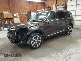 2022 Kia Telluride S with VIN 5XYP6DHC4NG219452, listed as a Copart auction lot 60676305 with 79,687 mi miles and Salvage title. Bid and sale history available at DreamBid. Image 1.