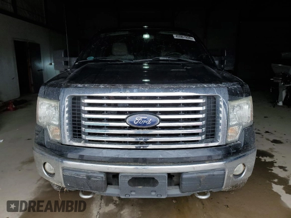 2010 Ford F-150 XL with VIN 1FTFW1EV8AFD31300, listed as a Copart auction lot 45961935 with Not Provided miles and Salvage Title. Bid and sale history available at DreamBid. Image 5.