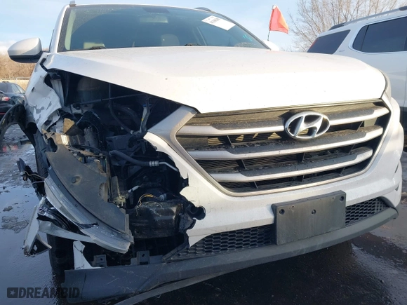 2017 Hyundai Tucson SE Plus with VIN KM8J33A44HU352769, listed as a IAAI auction lot 41106280 with 117,809 mi miles. Bid and sale history available at carsss.com. Image 6.