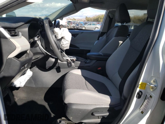 2019 Toyota RAV4 XLE with VIN 2T3W1RFV8KC028630, listed as a Copart auction lot 49307165 with 32,043 mi miles and Salvage Title. Bid and sale history available at DreamBid. Image 7.