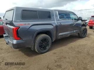 2023 Toyota Tundra Limited with VIN 5TFJA5DB8PX083947, listed as a Copart auction lot 59283695 with 19,089 mi miles and Salvage title. Bid and sale history available at DreamBid. Image 3.