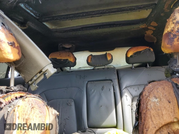 2014 Kia Sportage EX with VIN KNDPCCAC3E7630075, listed as a Copart auction lot 55671655 with Not provided miles and Salvage title. Bid and sale history available at DreamBid. Image 10.