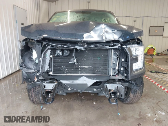 2017 Ford F-150 XL with VIN 1FTEX1E82HFB75381, listed as a IAAI auction lot 41583133 with 40,675 mi miles. Bid and sale history available at carsss.com. Image 6.