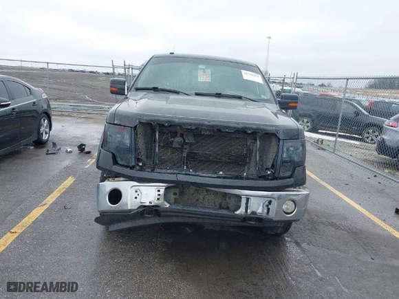 2010 Ford F-150 XL with VIN 1FTFW1EV1AFA98523, listed as a IAAI auction lot 41702551 with 242,073 mi miles. Bid and sale history available at carsss.com. Image 6.