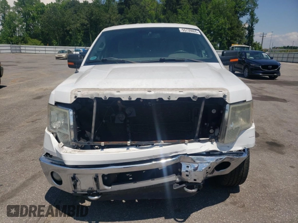 2012 Ford F-150 XL with VIN 1FTFW1EF6CFC69052, listed as a Copart auction lot 55739865 with 280,247 mi miles and Salvage title. Bid and sale history available at DreamBid. Image 5.