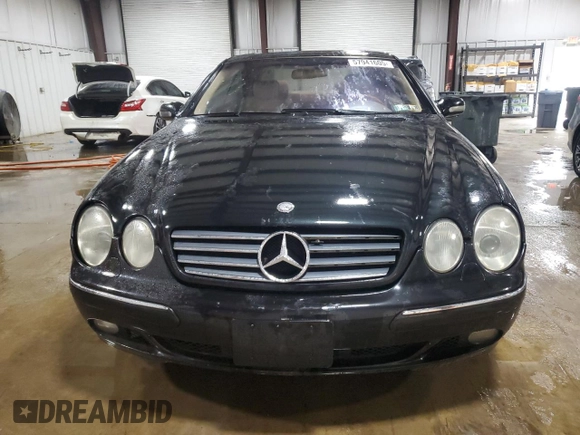 2000 Mercedes-Benz CL 500/600 z VIN WDBPJ75J5YA002286, wystawiony jako Copart lot #57941605 z przebiegiem 66 900 mil mil oraz Szkody całkowita. Historia ofert i sprzedaży dostępna na DreamBid. Obrazek 5.