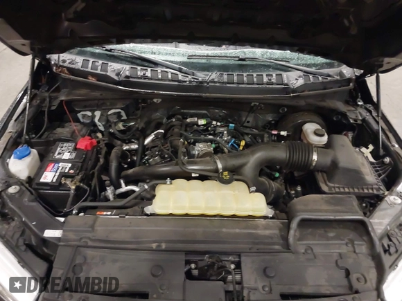2020 Ford F-150 XL with VIN 1FTEX1CP1LKE40401, listed as a IAAI auction lot 41306900 with 26,087 mi miles and . Bid and sale history available at DreamBid. Image 10.