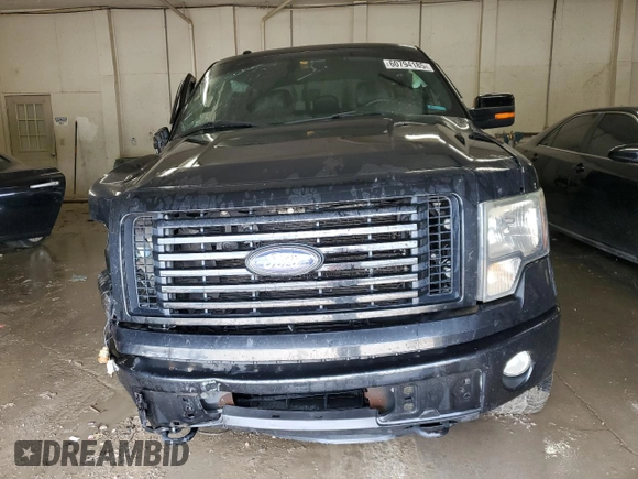 2012 Ford F-150 XL with VIN 1FTFW1ET9CFC32244, listed as a Copart auction lot 60794185 with 219,248 mi miles and Salvage title. Bid and sale history available at DreamBid. Image 5.