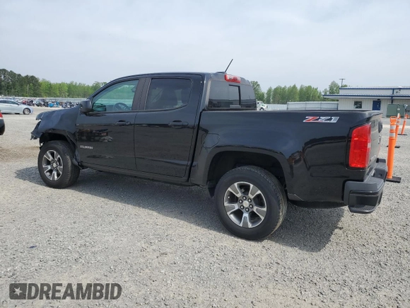 2018 Chevrolet Colorado 4WD Z71 with VIN 1GCGTDEN9J1192144, listed as a Copart auction lot 53122125 with 170,032 mi miles and Salvage title. Bid and sale history available at DreamBid. Image 2.