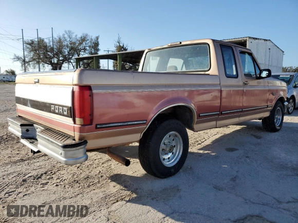1994 Ford F-150 with VIN 1FTEX15N1RKB19012, listed as a Copart auction lot 77352774 with 182,610 mi miles and Salvage Title. Bid and sale history available at carsss.com. Image 3.