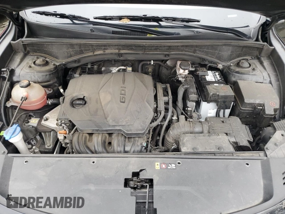 2022 Kia Sorento X-Line S with VIN 5XYRLDLCXNG148136, listed as a Copart auction lot 74258464 with 96,248 mi miles and Salvage Title. Bid and sale history available at DreamBid. Image 13.