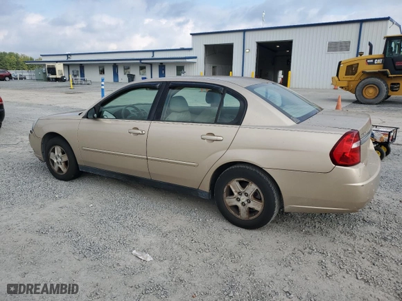 2005 Chevrolet Malibu LS with VIN 1G1ZT52825F254014, listed as a Copart auction lot 73671974 with 120,480 mi miles and Salvage Title. Bid and sale history available at carsss.com. Image 2.