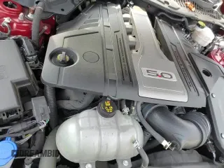 2020 Ford Mustang GT with VIN 1FA6P8CF6L5150003, listed as a Copart auction lot 80319905 with 9,247 mi miles and Salvage title. Bid and sale history available at DreamBid. Image 13.