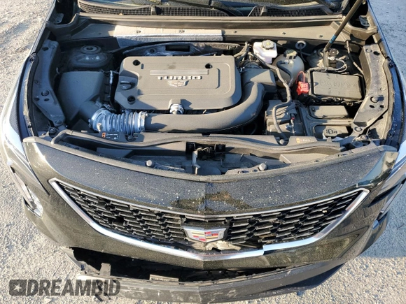 2023 Cadillac XT4 FWD Luxury with VIN 1GYAZAR49PF102307, listed as a Copart auction lot 49342465 with 21,093 mi miles and Salvage Title. Bid and sale history available at DreamBid. Image 13.