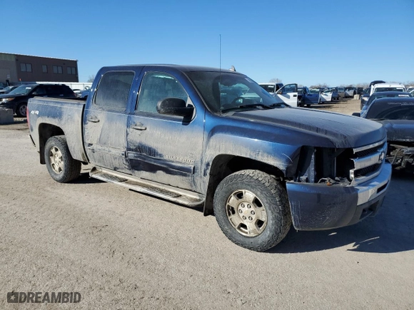 2010 Chevrolet Silverado 1500 LT with VIN 3GCRKSE35AG212891, listed as a Copart auction lot 46553805 with 172,958 mi miles and Salvage Title. Bid and sale history available at carsss.com. Image 4.