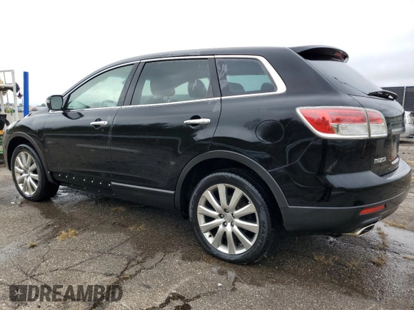 2009 Mazda CX-9 Touring with VIN JM3TB38A790167658, listed as a Copart auction lot 73551964 with 197,457 mi miles and Clean Title. Bid and sale history available at carsss.com. Image 2.