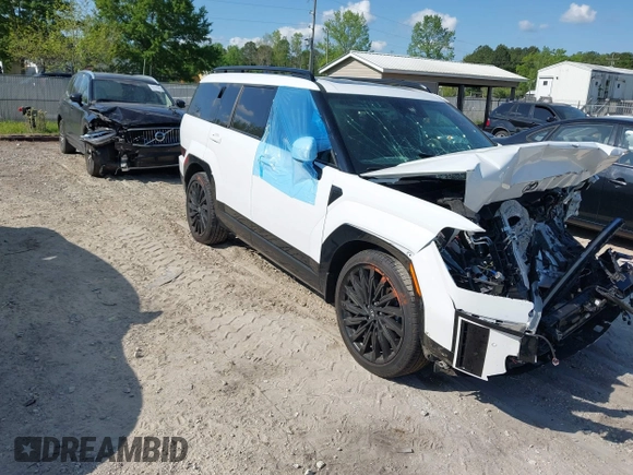 2024 Hyundai Santa Fe Calligraphy with VIN 5NMP5DGL8RH048723, listed as a IAAI auction lot 42063740 with Not provided miles and . Bid and sale history available at DreamBid. Image 1.