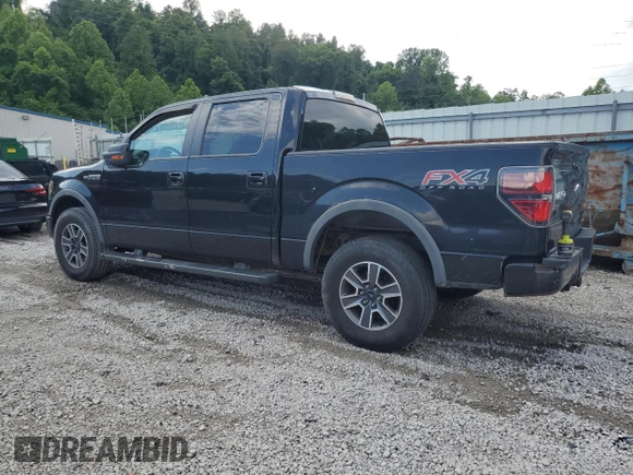 2013 Ford F-150 XL with VIN 1FTFW1EF5DKD04673, listed as a Copart auction lot 60316705 with 308,347 mi miles and Salvage title. Bid and sale history available at DreamBid. Image 2.