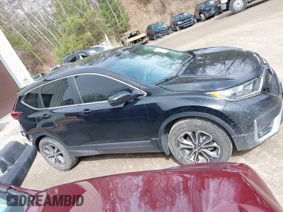 2020 Honda CR-V EX с VIN 2HKRW2H58LH638831, выставлен на аукционе IAAI как лот 41894941 с пробегом 46 746 миль миль и . История ставок и продаж доступна на DreamBid. Изображение 14.