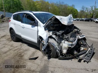 2014 Ford Escape SE with VIN 1FMCU9G98EUD26277, listed as a Copart auction lot 54953985 with Not provided miles and Salvage title. Bid and sale history available at DreamBid. Image 4.