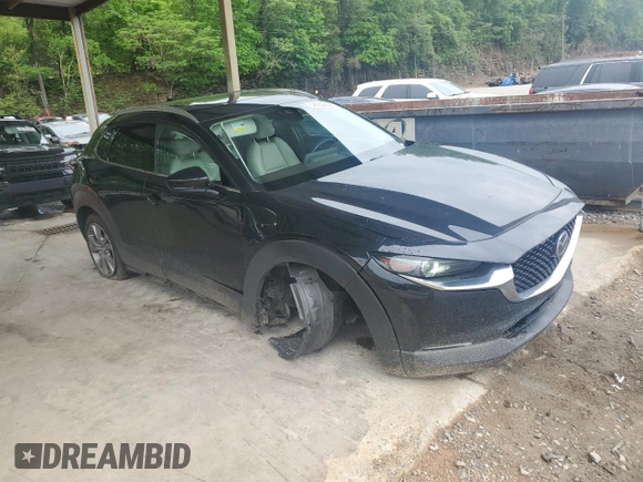 2021 Mazda CX-30 Premium with VIN 3MVDMADL1MM319019, listed as a Copart auction lot 54258605 with 35,538 mi miles and Salvage title. Bid and sale history available at DreamBid. Image 4.