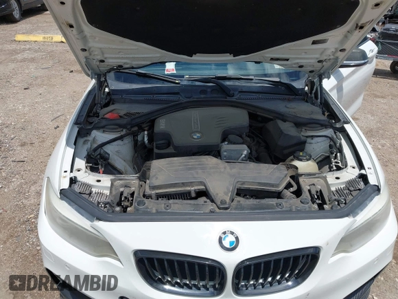 2014 BMW 2 Series 228i with VIN WBA1F5C54EV256303, listed as a IAAI auction lot 42214512 with 81,116 mi miles and . Bid and sale history available at DreamBid. Image 10.
