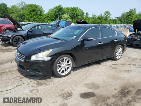 2010 Nissan Maxima SV with VIN 1N4AA5AP0AC834558, listed as a Copart auction lot 59543425 with 171,377 mi miles and Salvage title. Bid and sale history available at DreamBid. Image 1.
