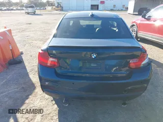 2015 BMW 2 Series 228i with VIN WBA1F5C53FV257153, listed as a IAAI auction lot 41294335 with 99,919 mi miles. Bid and sale history available at carsss.com. Image 17.