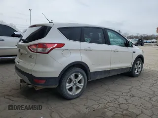 2013 Ford Escape SE with VIN 1FMCU0G97DUD84861, listed as a Copart auction lot 49396135 with 178,213 mi miles and Clean Title. Bid and sale history available at DreamBid. Image 3.
