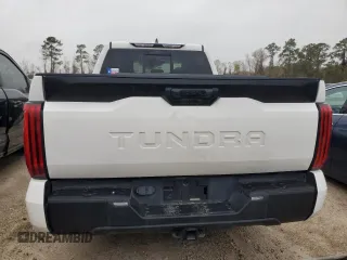 2023 Toyota Tundra SR with VIN 5TFKB5AA1PX021917, listed as a Copart auction lot 81721194 with 58,163 mi miles and Salvage title. Bid and sale history available at DreamBid. Image 6.