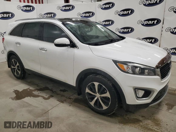 2017 Kia Sorento EX V6 with VIN 5XYPH4A58HG248236, listed as a Copart auction lot 48732165 with 146,353 mi miles and Clean Title. Bid and sale history available at carsss.com. Image 4.