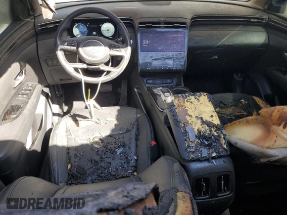 2023 Hyundai Tucson Limited with VIN 5NMJECAE4PH225971, listed as a Copart auction lot 49006685 with 36,938 mi miles and Salvage title. Bid and sale history available at DreamBid. Image 8.