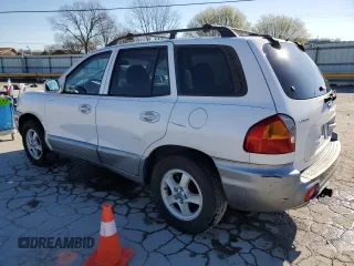 2002 Hyundai Santa Fe GLS with VIN KM8SC13DX2U329705, listed as a Copart auction lot 48986355 with 118,502 mi miles and Salvage Title. Bid and sale history available at carsss.com. Image 2.